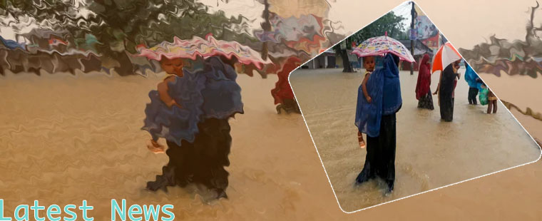 Latest news crockfords of Bangladesh